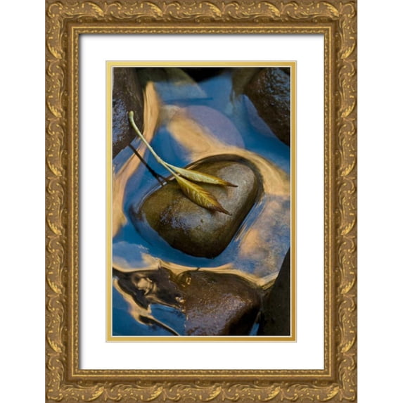 Rotenberg, Nancy 17x24 Gold Ornate Wood Framed with Double Matting Museum Art Print Titled - USA, Utah, Zion NP Leaf on rock in water