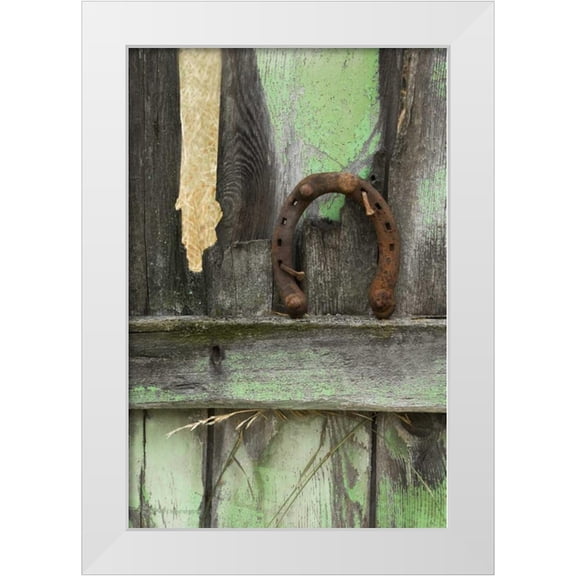 Rotenberg, Nancy 17x24 White Modern Wood Framed Museum Art Print Titled - Montana Horseshoe on old fence of a homestead