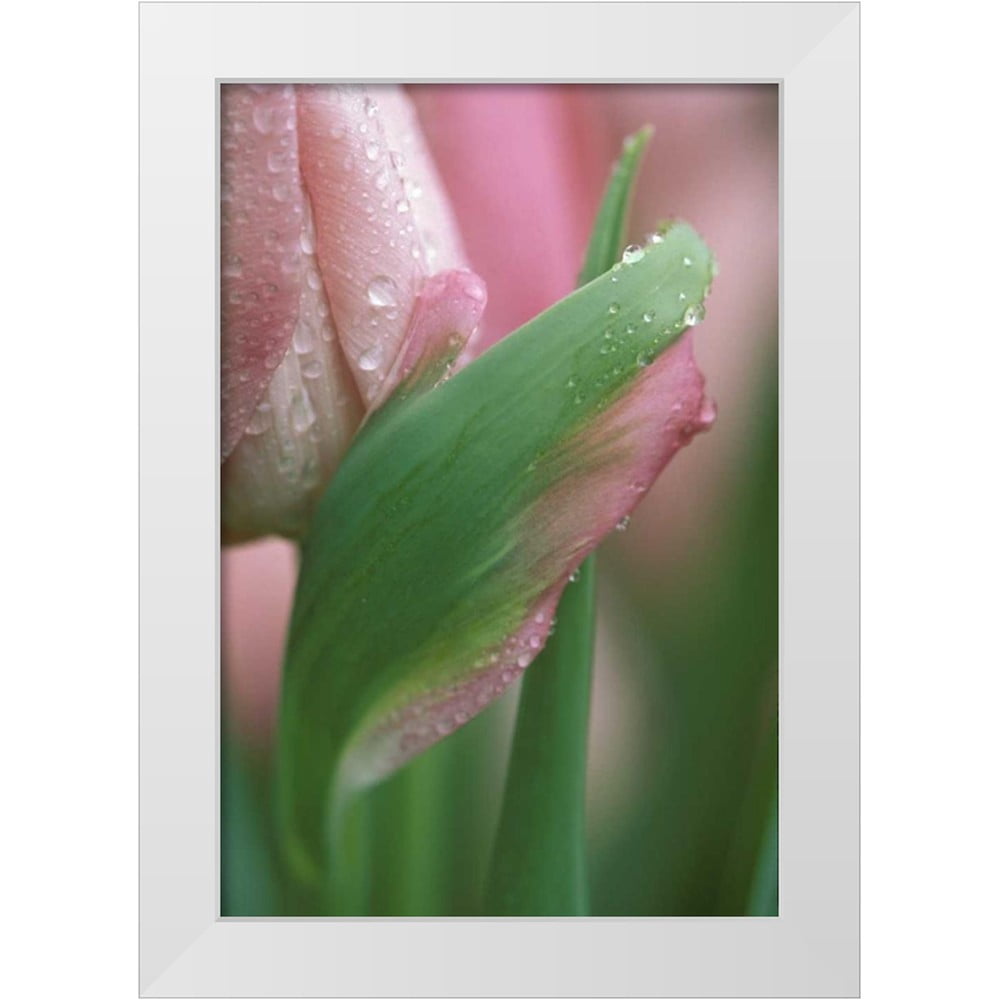 Framed Art Lalegul Rose & Tulip 1388 main image 0