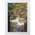thumbnail image 1 of Rotenberg, Nancy 17x24 White Modern Wood Framed Museum Art Print Titled - USA, New Hampshire, Stream and fall foliage, 1 of 4