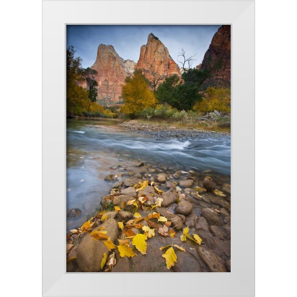 Rotenberg, Nancy 17x24 White Modern Wood Framed Museum Art Print Titled ...