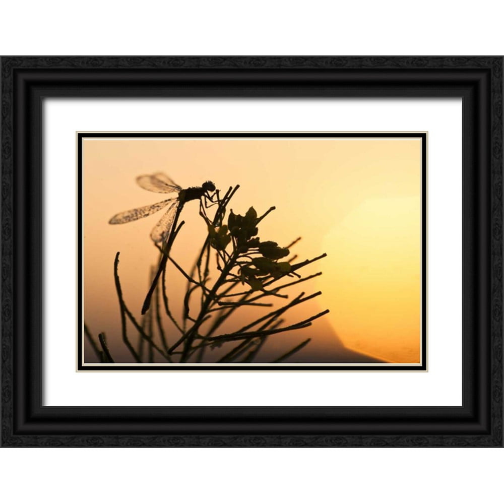 Rotenberg, Nancy 18x13 Black Ornate Wood Framed with Double Matting ...