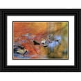 thumbnail image 1 of Rotenberg, Nancy 18x13 Black Ornate Wood Framed with Double Matting Museum Art Print Titled - NY, Adirondack Mts Autumn reflections in stream, 1 of 4