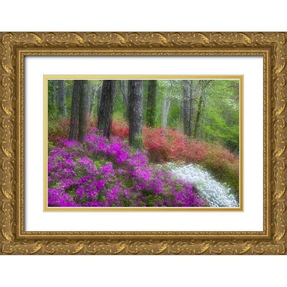 Rotenberg, Nancy 18x13 Gold Ornate Wood Framed with Double Matting Museum Art Print Titled - GA, Impressionistic trees and flowering bushes
