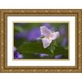 thumbnail image 1 of Rotenberg, Nancy 18x13 Gold Ornate Wood Framed with Double Matting Museum Art Print Titled - NC, Great Smoky Mts White trillium in spring, 1 of 4