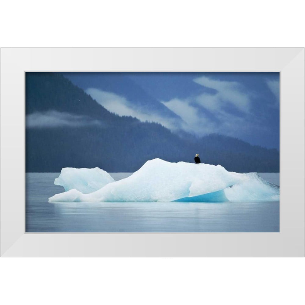 Rotenberg, Nancy 18x13 White Modern Wood Framed Museum Art Print Titled ...
