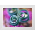 thumbnail image 1 of Rotenberg, Nancy 18x13 White Modern Wood Framed Museum Art Print Titled - South Namaqualand, Curled lily leaves, 1 of 4