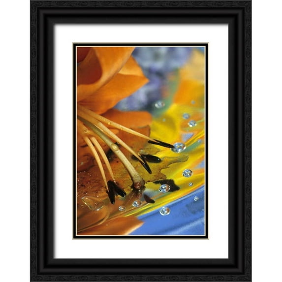 Rotenberg, Nancy 18x24 Black Ornate Wood Framed with Double Matting Museum Art Print Titled - Abstract of lily stamens in reflection