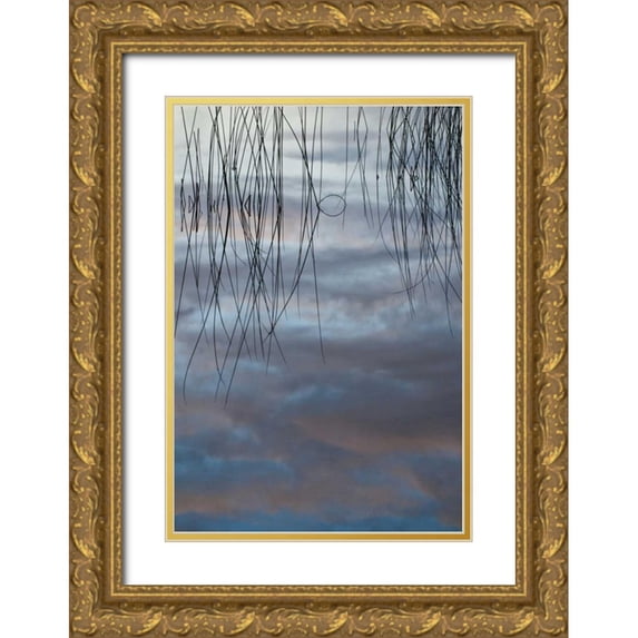 Rotenberg, Nancy 18x24 Gold Ornate Wood Framed with Double Matting Museum Art Print Titled - MI, Cloud reflections and reeds in Thornton Lake