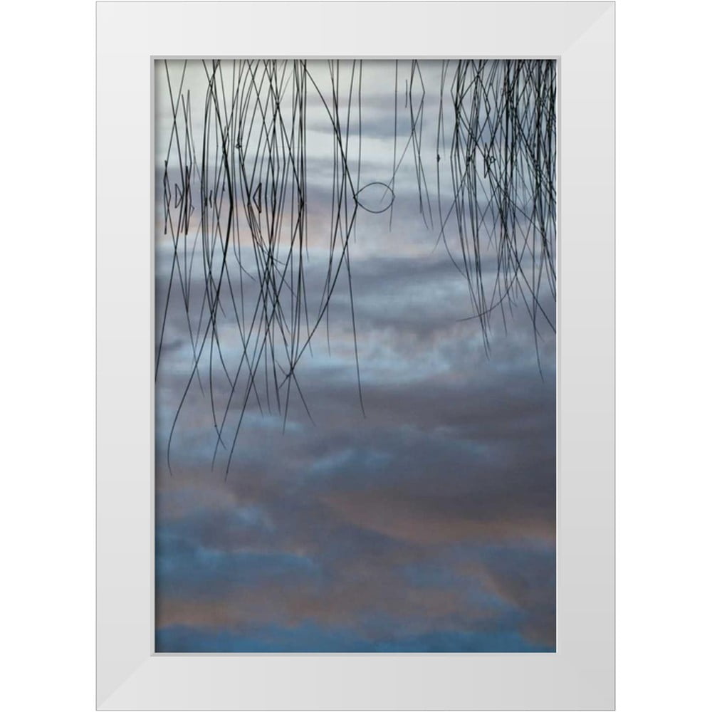 Rotenberg, Nancy 18x24 White Modern Wood Framed Museum Art Print Titled ...