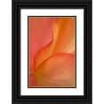 thumbnail image 1 of Rotenberg, Nancy 23x32 Black Ornate Wood Framed with Double Matting Museum Art Print Titled - Begonia Petal Close-up, 1 of 4