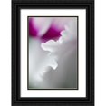 thumbnail image 1 of Rotenberg, Nancy 23x32 Black Ornate Wood Framed with Double Matting Museum Art Print Titled - Cyclamen flower close-up, 1 of 4