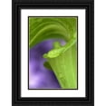 thumbnail image 1 of Rotenberg, Nancy 23x32 Black Ornate Wood Framed with Double Matting Museum Art Print Titled - Of Jack-in-the-Pulpit with violet background, 1 of 4