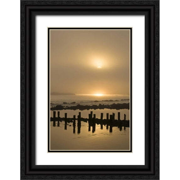 Rotenberg, Nancy 23x32 Black Ornate Wood Framed with Double Matting Museum Art Print Titled - Oregon Foggy sunrise on Bandon Beach pilings