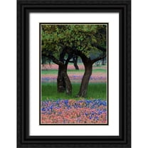 Rotenberg, Nancy 23x32 Black Ornate Wood Framed with Double Matting Museum Art Print Titled - TX, Hill Country, Texas flowers and Dancing Trees