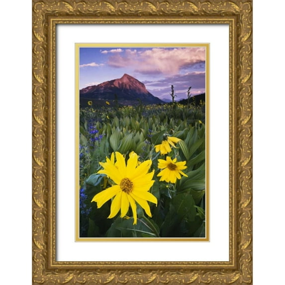 Rotenberg, Nancy 23x32 Gold Ornate Wood Framed with Double Matting Museum Art Print Titled - CO, Mt Crested Butte Meadow flowers at sunset
