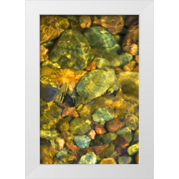 Rotenberg, Nancy 23x32 White Modern Wood Framed Museum Art Print Titled - MT, Rattlesnake Wilderness Area Underwater rocks