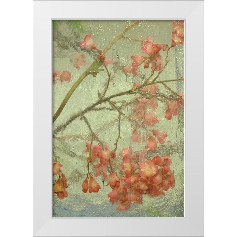 Rotenberg, Nancy 23x32 White Modern Wood Framed Museum Art Print Titled ...