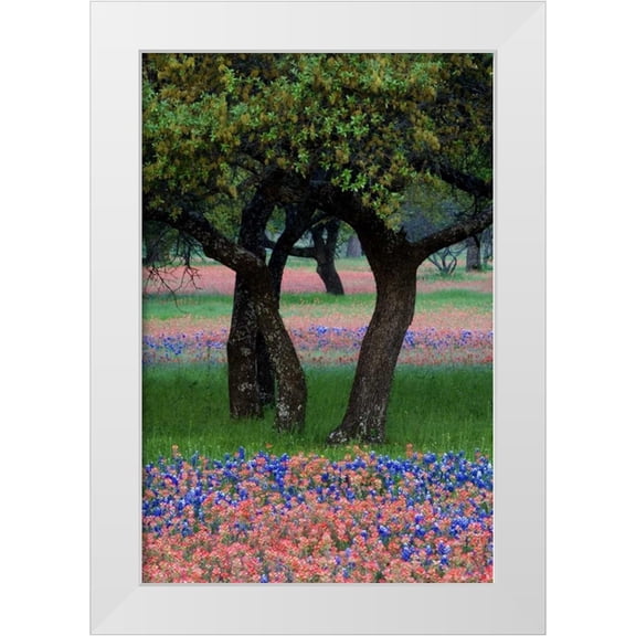 Rotenberg, Nancy 23x32 White Modern Wood Framed Museum Art Print Titled - TX, Hill Country, Texas flowers and Dancing Trees