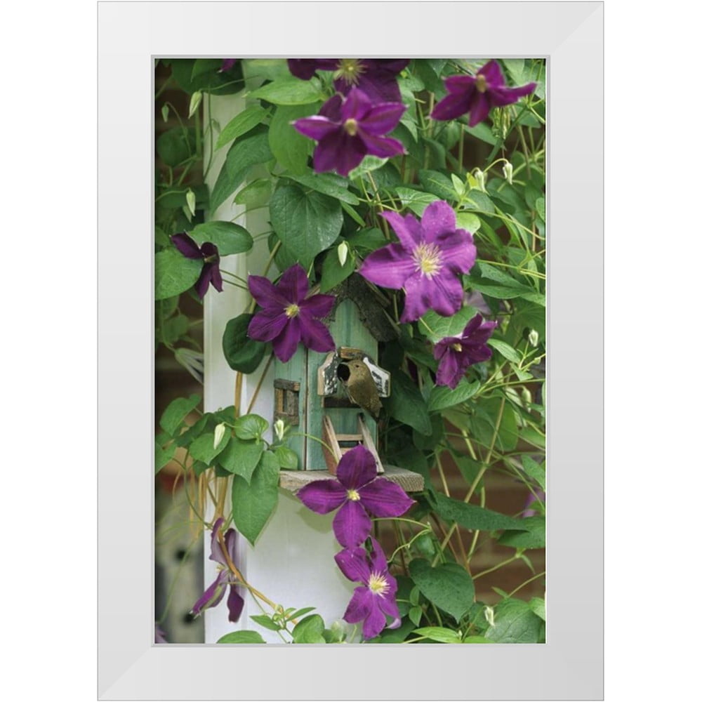 Rotenberg, Nancy 23x32 White Modern Wood Framed Museum Art Print Titled ...