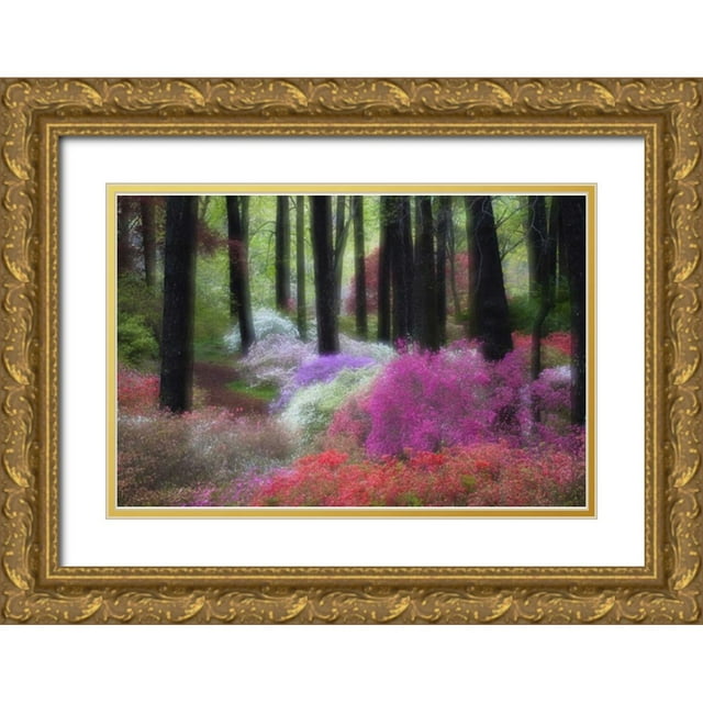 Rotenberg, Nancy 24x17 Gold Ornate Wood Framed with Double Matting Museum Art Print Titled - GA, Impressionistic trees and flowering bushes
