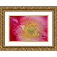 thumbnail image 1 of Rotenberg, Nancy 24x17 Gold Ornate Wood Framed with Double Matting Museum Art Print Titled - USA, North Carolina Close-up of poppy interior, 1 of 4