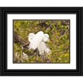 thumbnail image 1 of Rotenberg, Nancy 24x19 Black Ornate Wood Framed with Double Matting Museum Art Print Titled - Great Egret, nesting, 1 of 4