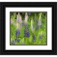thumbnail image 1 of Rotenberg, Nancy 29x26 Black Ornate Wood Framed with Double Matting Museum Art Print Titled - Maine, Acadia NP Field of blooming lupines, 1 of 4