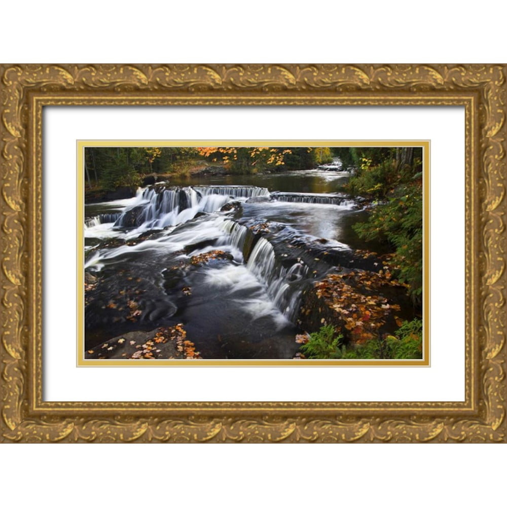 Rotenberg, Nancy 32x22 Gold Ornate Wood Framed with Double Matting ...