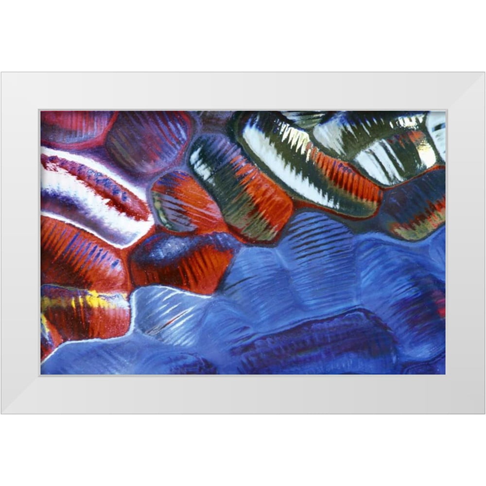 Rotenberg, Nancy 32x22 White Modern Wood Framed Museum Art Print Titled ...