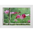 thumbnail image 1 of Rotenberg, Nancy 32x22 White Modern Wood Framed Museum Art Print Titled - USA, Pennsylvania, Cosmos in Rainy Window, 1 of 4