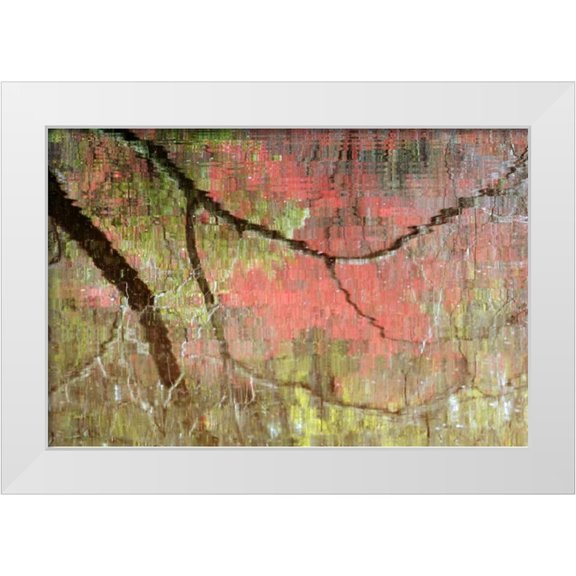 Rotenberg, Nancy 32x23 White Modern Wood Framed Museum Art Print Titled - Georgia, Reflections of early spring buds in pond