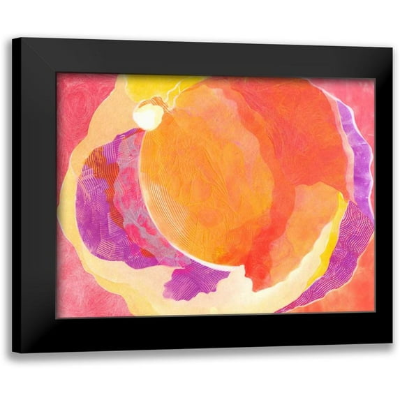 Roth, Carolyn 14x12 Black Modern Framed Museum Art Print Titled - Cabbage Rose V