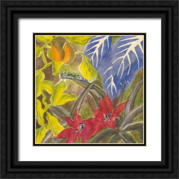 Roth, Carolyn 15x15 Black Ornate Wood Framed with Double Matting Museum Art Print Titled - Tropical Monotype I