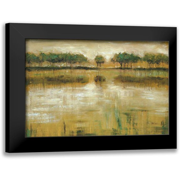 Roth, Jack 18x13 Black Modern Framed Museum Art Print Titled - Tiverton Lake