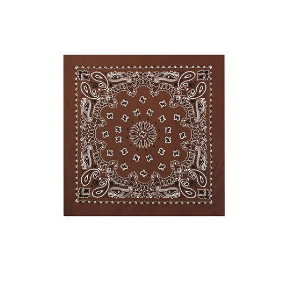Bandanna Co Paisley, Cocoa, 22" x 22" (2nd)