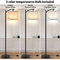Rottooon Floor Lamp with 3 Color Temperatures, Tall Industrial Standing Lamp for Living Room, Bedroom, Office - Black