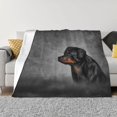 Rottweiler Dog (3) Warm Flannel Fleece Plush Soft Sofa Throw Blanket As