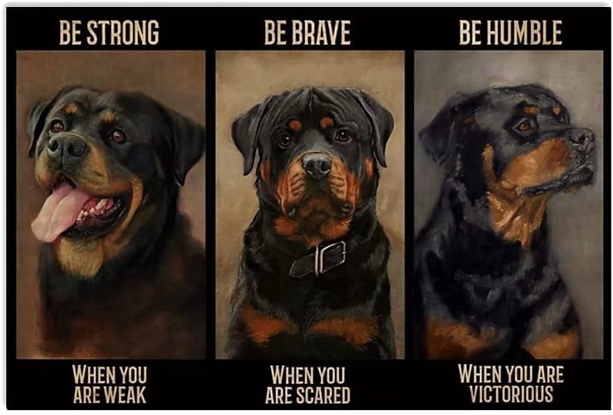Diamond Head Rottweilers Rottweiler Dog Diamond Art Kits For Adults,Be Strong Be Brave 5D ...