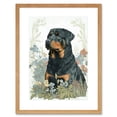 thumbnail image 1 of Rottweiler Dog Sitting in Flower Field Modern Watercolour Illustration Artwork Framed Wall Art Print 9X7 Inch, 1 of 5
