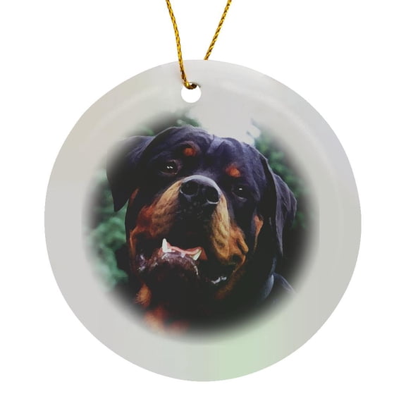 3drose, Rottweiler Portrait, Circle Porcelain Ornament