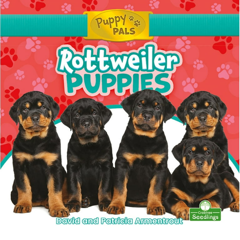 Guard Dog Rottweiler Puppies For Sell Rottweiler Puppies (Hardcover)