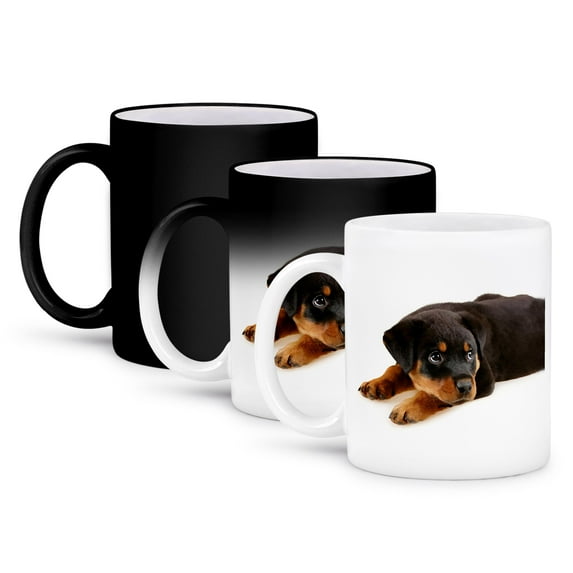 3dRose, Rottweiler puppy, 11oz Magic Transforming Mug