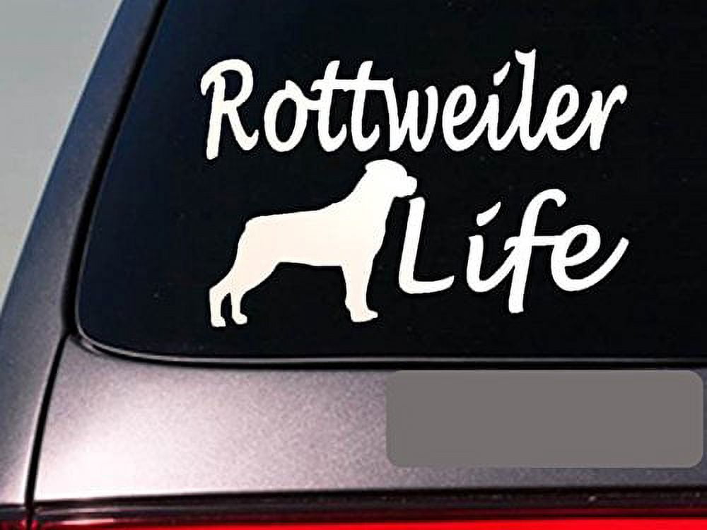 Rottweiler life 6