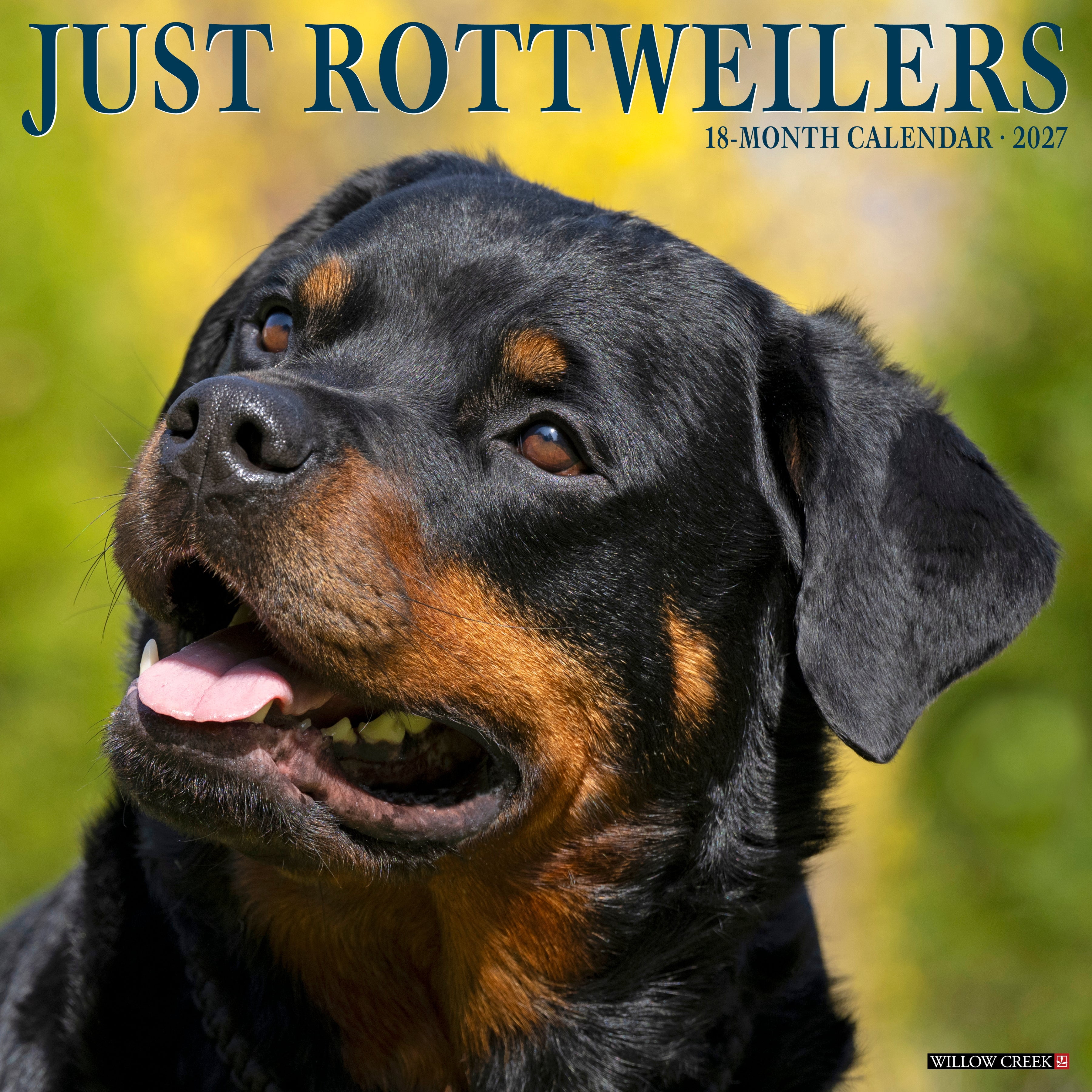 Willow Creek Press, Rottweilers 2027 Wall Calendar