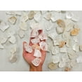 thumbnail image 1 of Rough Clear Quartz Crystals Bulk Rocks Minerals for Tumbling Reiki Crafting, 1 of 4