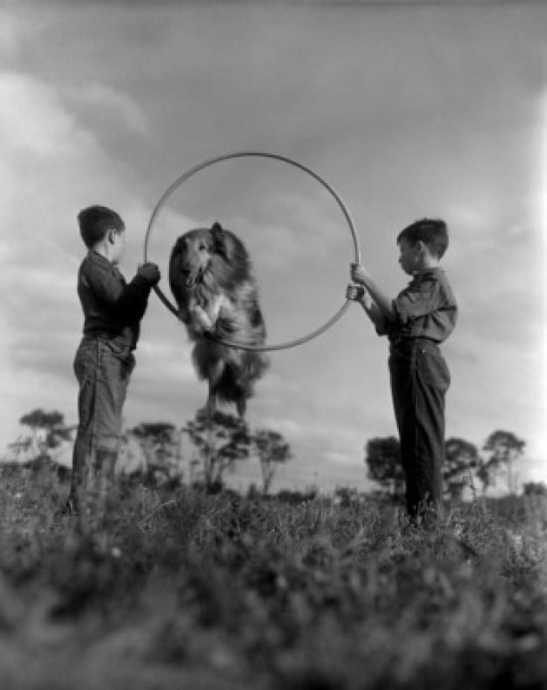 Rough Collie jumping through plastic hoop held by two boys Canvas Art - (18 x 24)