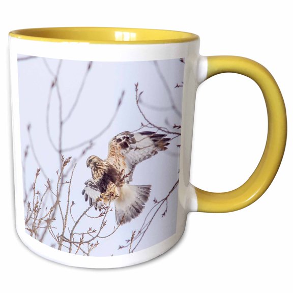 3drose, Rough-legged Hawk in Winter in the Flathead Valley, Montana, Usa, 15oz Two-tone Yellow Mug