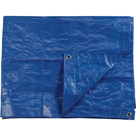 Roughneck 2.2-Oz. Medium-Duty Tarp, Blue, 8ft. x 10ft.