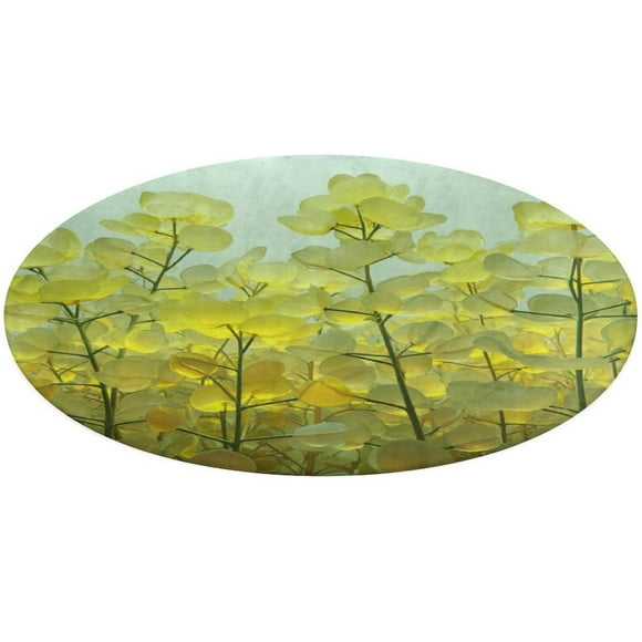 Round Area Rug Pastel Yellow Flower Field Glowing Softly Indoor Floor Area Mat Stain-Proof Mat Non-Skid Rugs for Living Room Dining Kitchen Bedroom